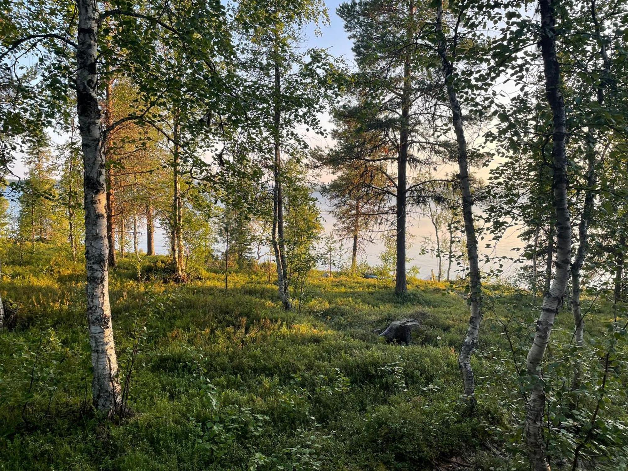 Lapland Dream Villas Rauhala Esterno foto